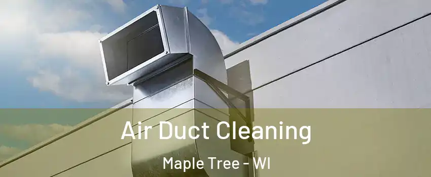 Air Duct Cleaning Maple Tree - WI