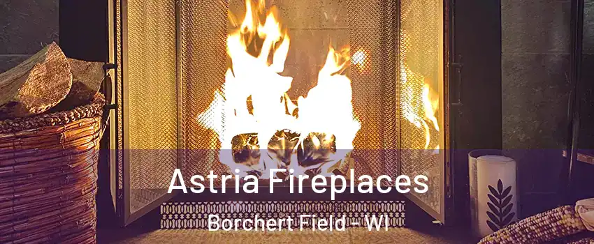 Astria Fireplaces Borchert Field - WI