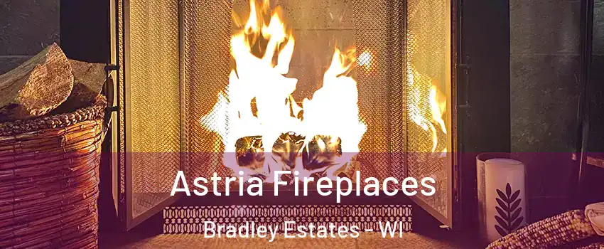 Astria Fireplaces Bradley Estates - WI