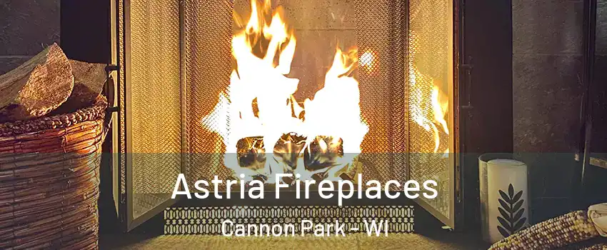 Astria Fireplaces Cannon Park - WI