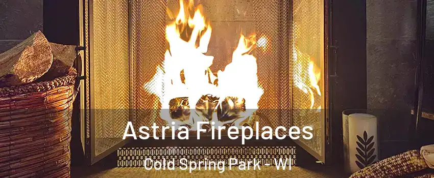 Astria Fireplaces Cold Spring Park - WI