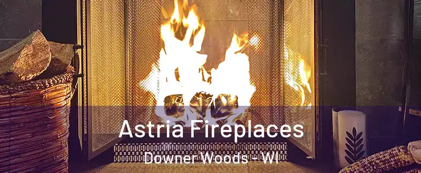 Astria Fireplaces Downer Woods - WI