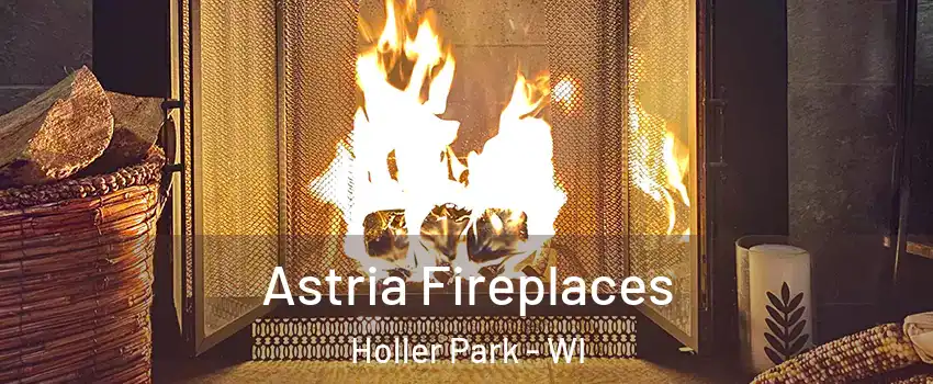 Astria Fireplaces Holler Park - WI