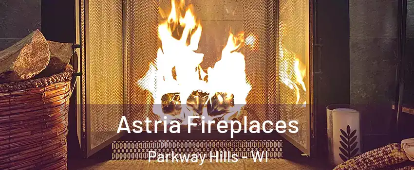 Astria Fireplaces Parkway Hills - WI