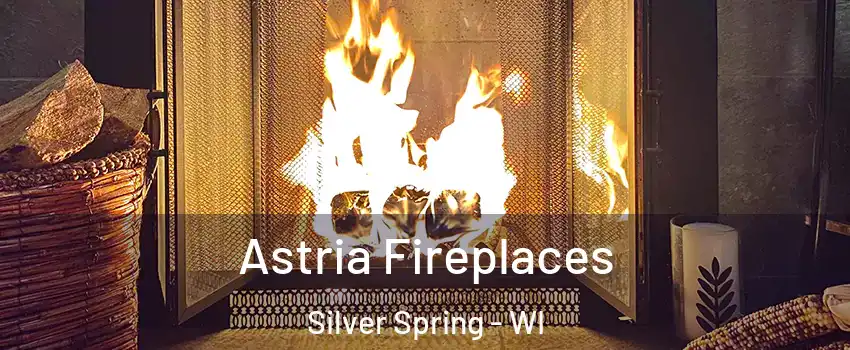 Astria Fireplaces Silver Spring - WI