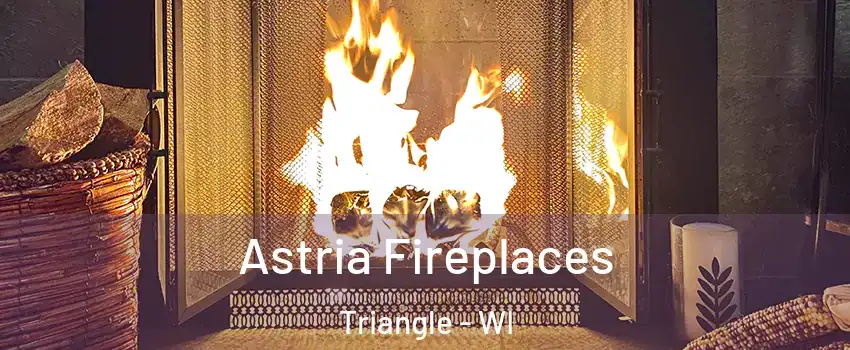 Astria Fireplaces Triangle - WI