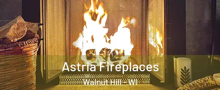 Astria Fireplaces Walnut Hill - WI