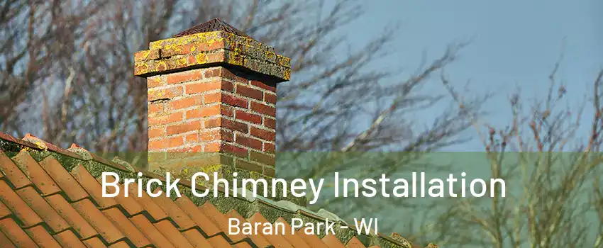 Brick Chimney Installation Baran Park - WI