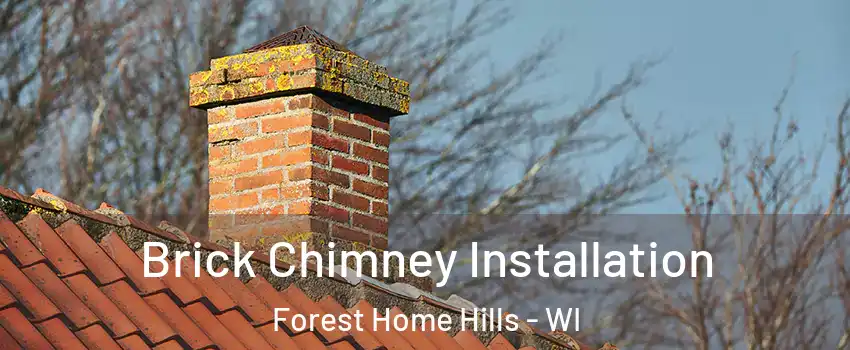 Brick Chimney Installation Forest Home Hills - WI