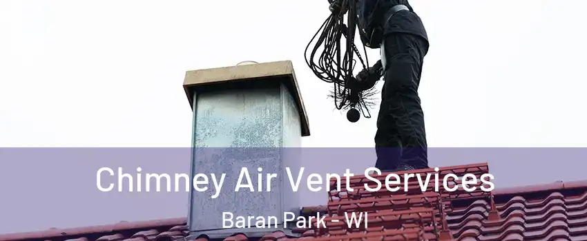 Chimney Air Vent Services Baran Park - WI