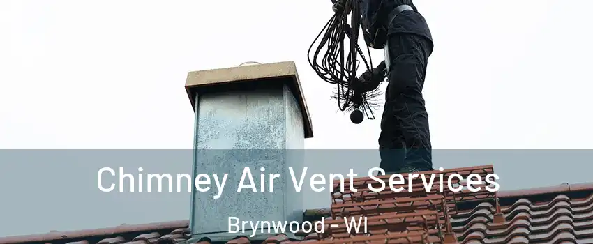 Chimney Air Vent Services Brynwood - WI