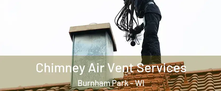 Chimney Air Vent Services Burnham Park - WI