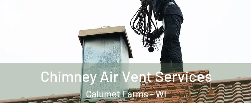 Chimney Air Vent Services Calumet Farms - WI