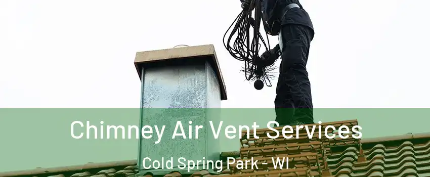 Chimney Air Vent Services Cold Spring Park - WI