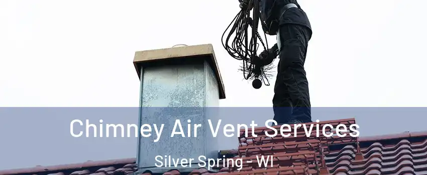 Chimney Air Vent Services Silver Spring - WI