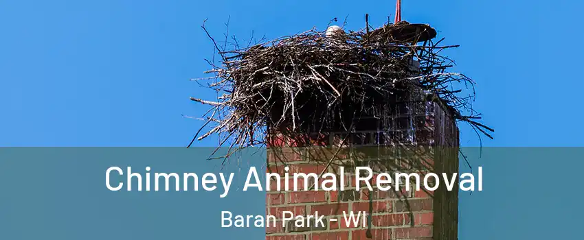 Chimney Animal Removal Baran Park - WI