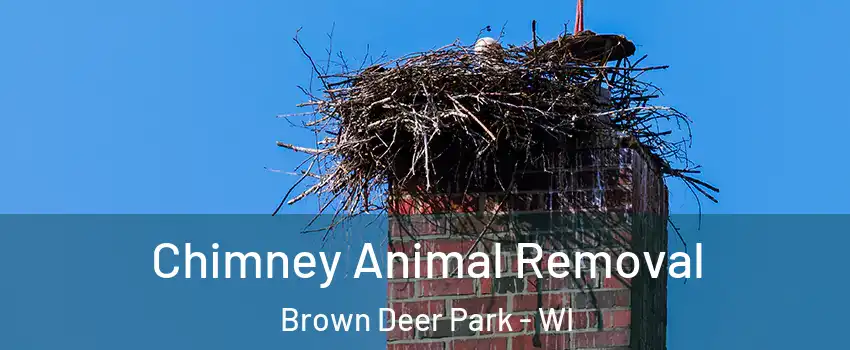 Chimney Animal Removal Brown Deer Park - WI