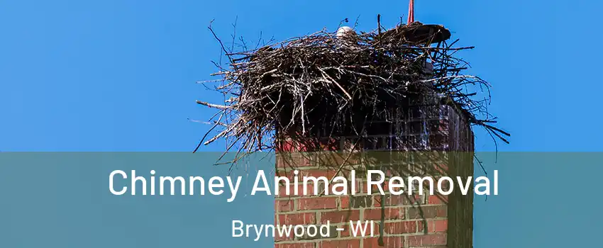 Chimney Animal Removal Brynwood - WI