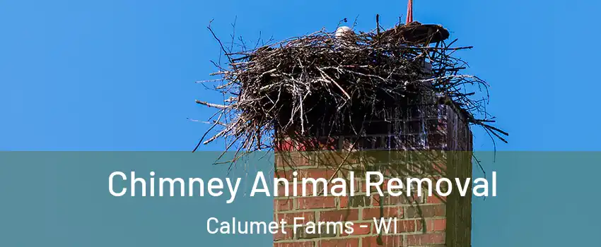 Chimney Animal Removal Calumet Farms - WI