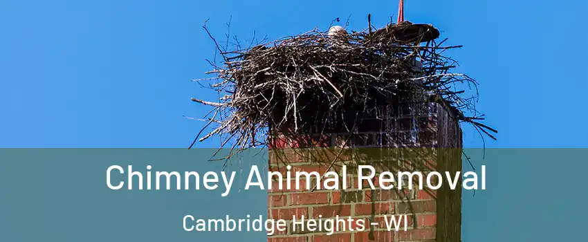 Chimney Animal Removal Cambridge Heights - WI