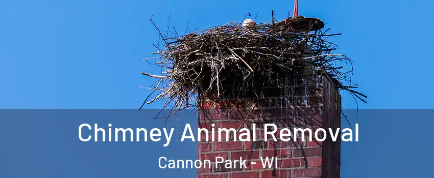 Chimney Animal Removal Cannon Park - WI