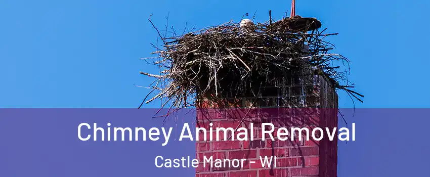 Chimney Animal Removal Castle Manor - WI