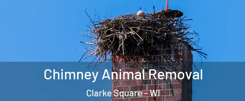 Chimney Animal Removal Clarke Square - WI