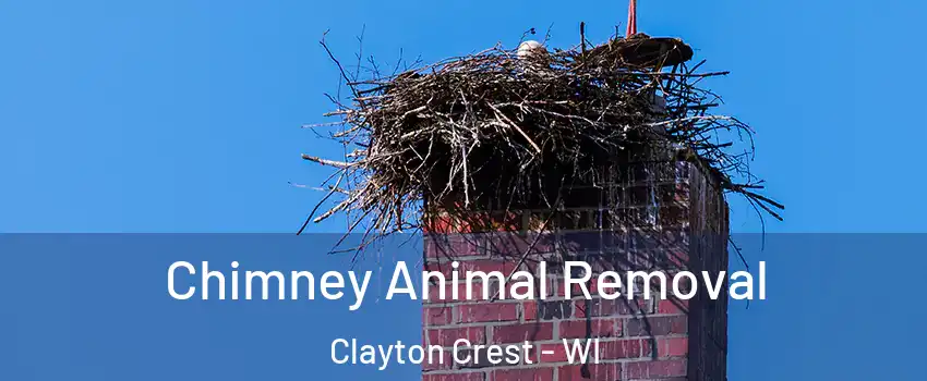 Chimney Animal Removal Clayton Crest - WI