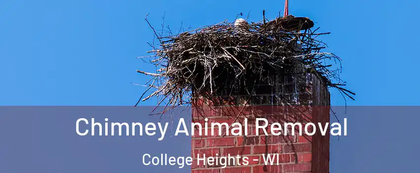 Chimney Animal Removal College Heights - WI