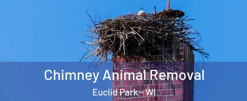 Chimney Animal Removal Euclid Park - WI