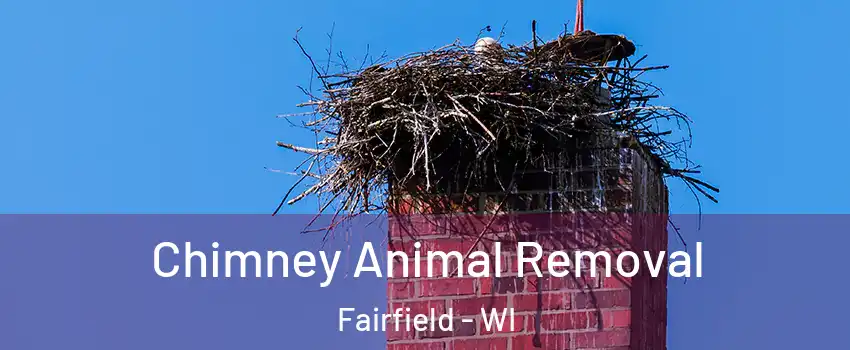 Chimney Animal Removal Fairfield - WI