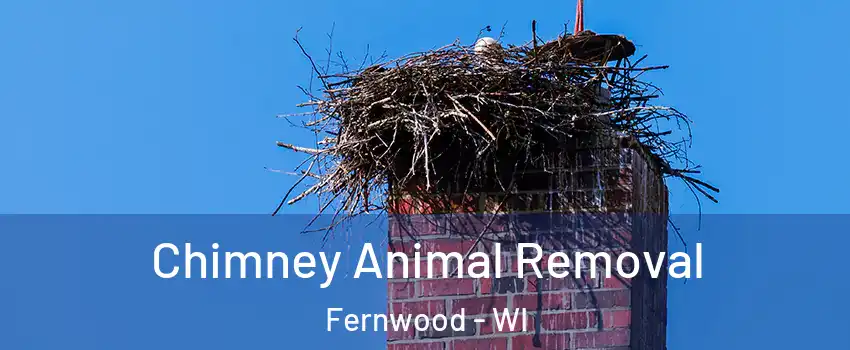 Chimney Animal Removal Fernwood - WI