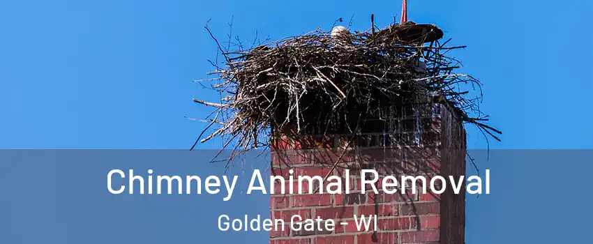 Chimney Animal Removal Golden Gate - WI