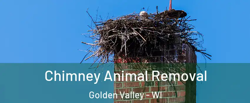 Chimney Animal Removal Golden Valley - WI