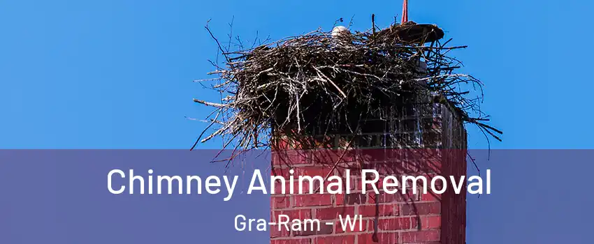 Chimney Animal Removal Gra-Ram - WI