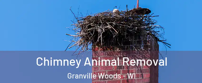 Chimney Animal Removal Granville Woods - WI