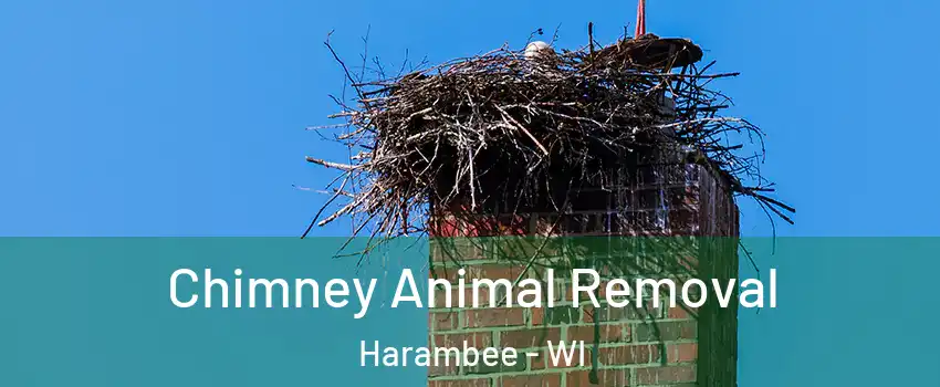 Chimney Animal Removal Harambee - WI