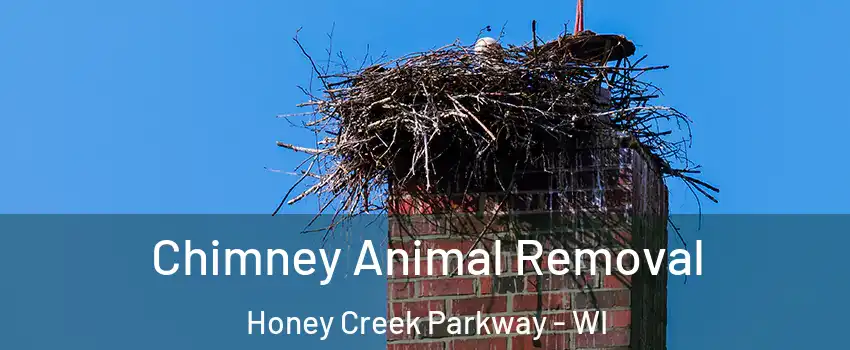 Chimney Animal Removal Honey Creek Parkway - WI