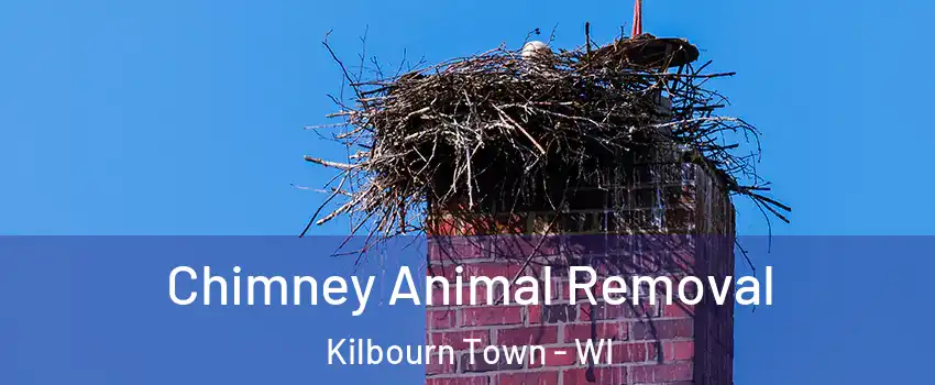 Chimney Animal Removal Kilbourn Town - WI