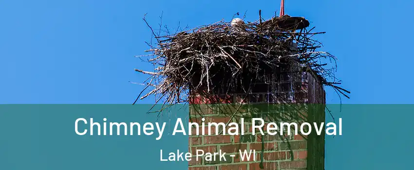 Chimney Animal Removal Lake Park - WI