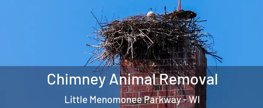 Chimney Animal Removal Little Menomonee Parkway - WI