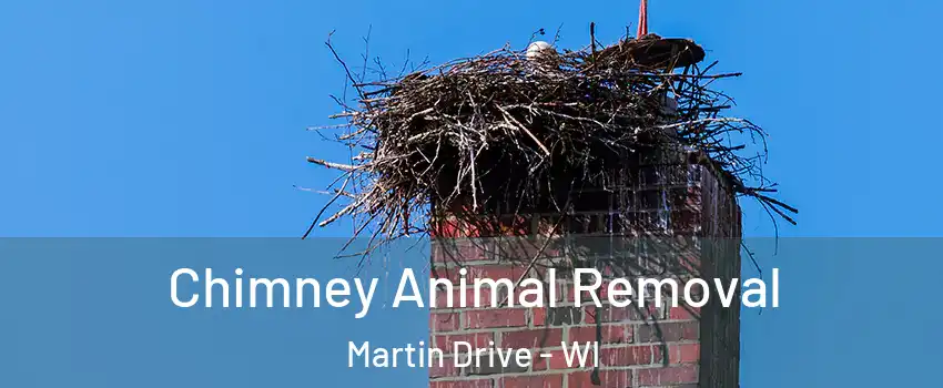 Chimney Animal Removal Martin Drive - WI