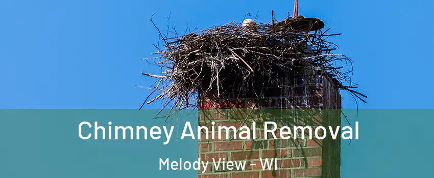 Chimney Animal Removal Melody View - WI