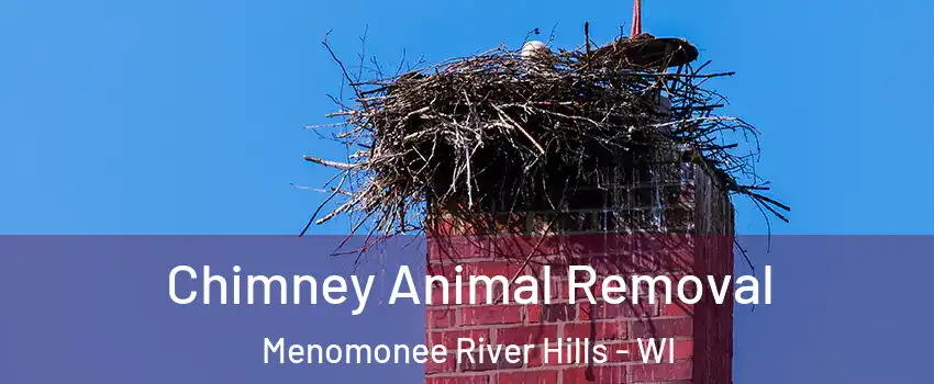 Chimney Animal Removal Menomonee River Hills - WI