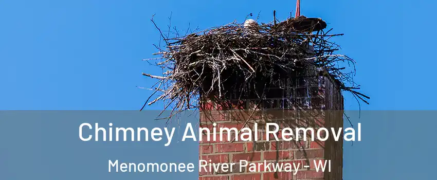 Chimney Animal Removal Menomonee River Parkway - WI