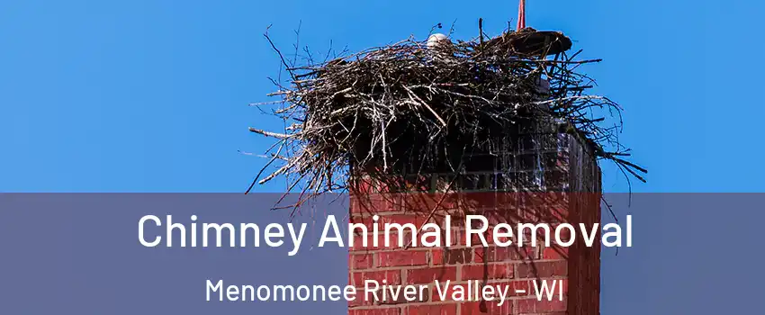 Chimney Animal Removal Menomonee River Valley - WI