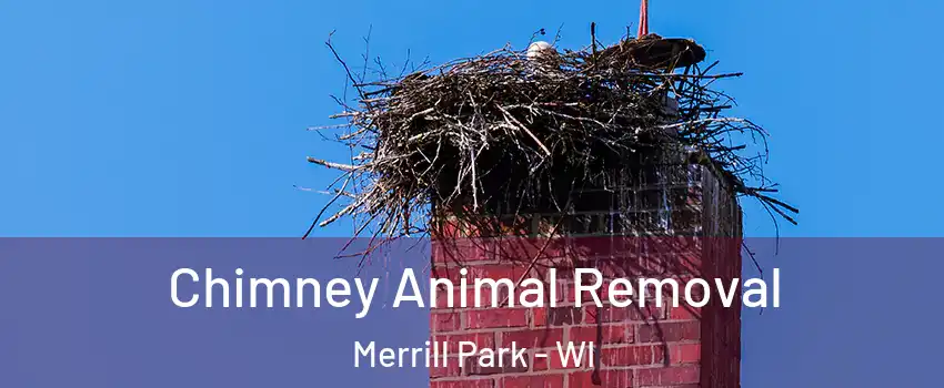 Chimney Animal Removal Merrill Park - WI