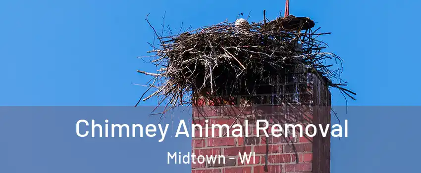 Chimney Animal Removal Midtown - WI