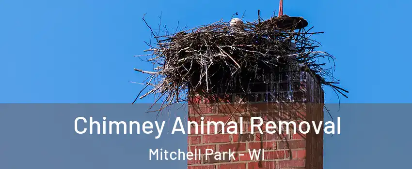 Chimney Animal Removal Mitchell Park - WI