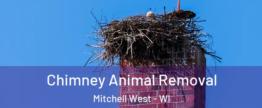 Chimney Animal Removal Mitchell West - WI